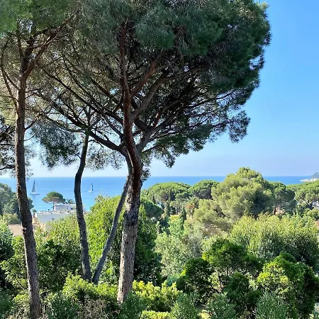 6 Chambres, Piscine, Vue Mer, A Proximite De La , Cavalaire-sur-Mer